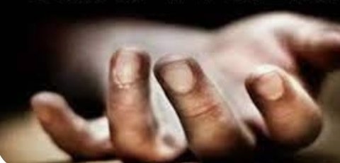 हिंदी समाचार |विद्युत करंट की चपेट में आने...
