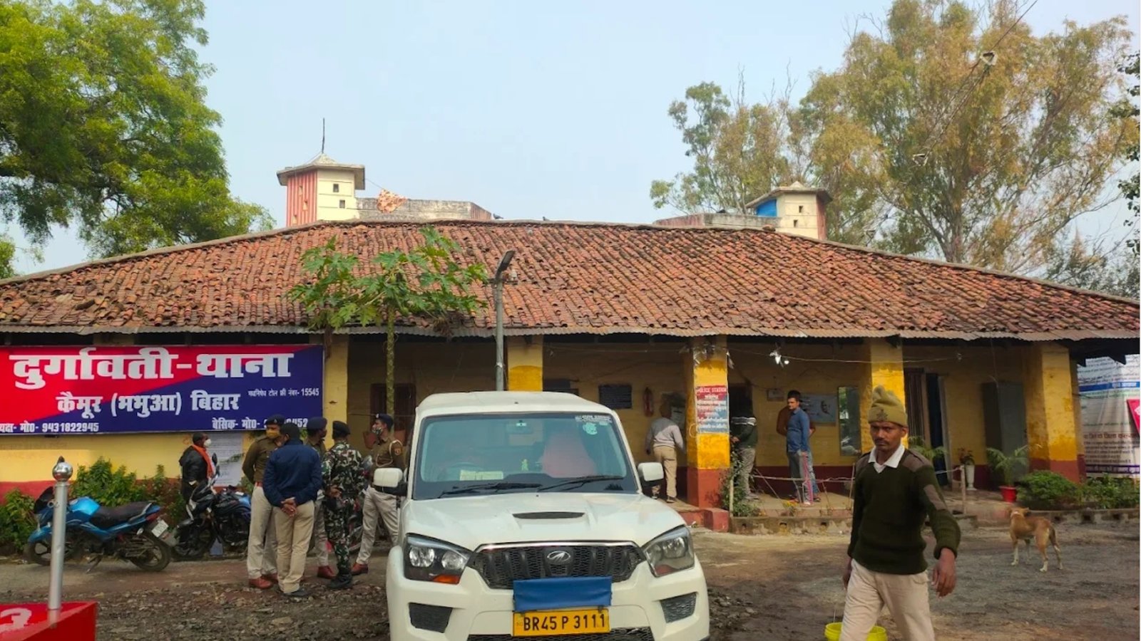 हिंदी समाचार |दस हजार नगदी और दो गाय छिनैती...