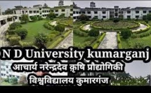 हिंदी समाचार |विश्व मृदा दिवस के उपलक्ष में...