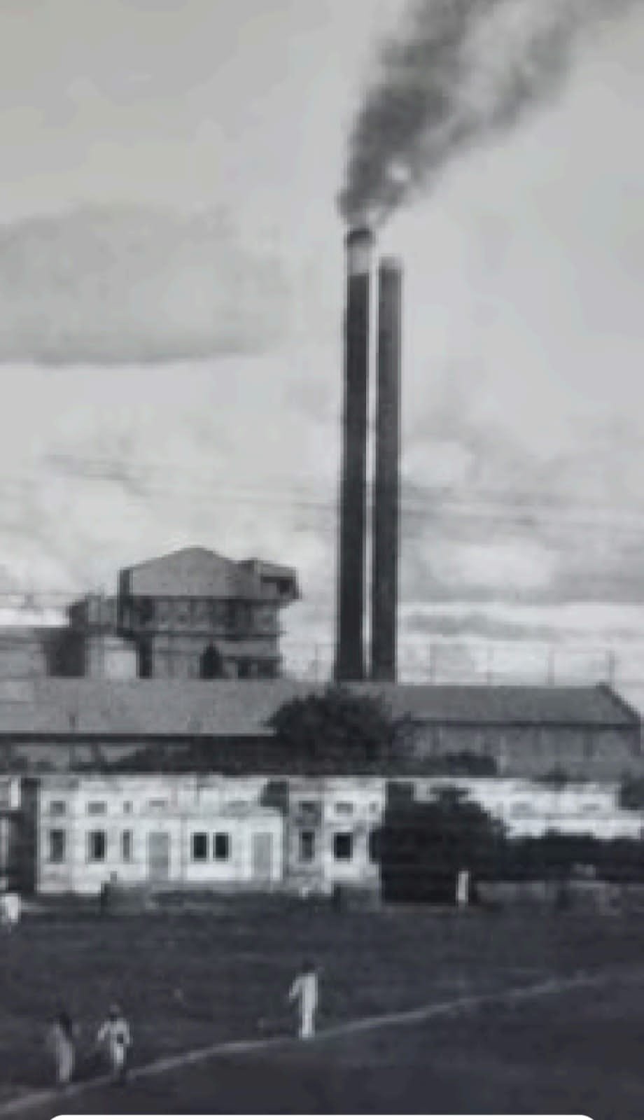 हिंदी समाचार |रोहतास उद्योग डालमियानगर...