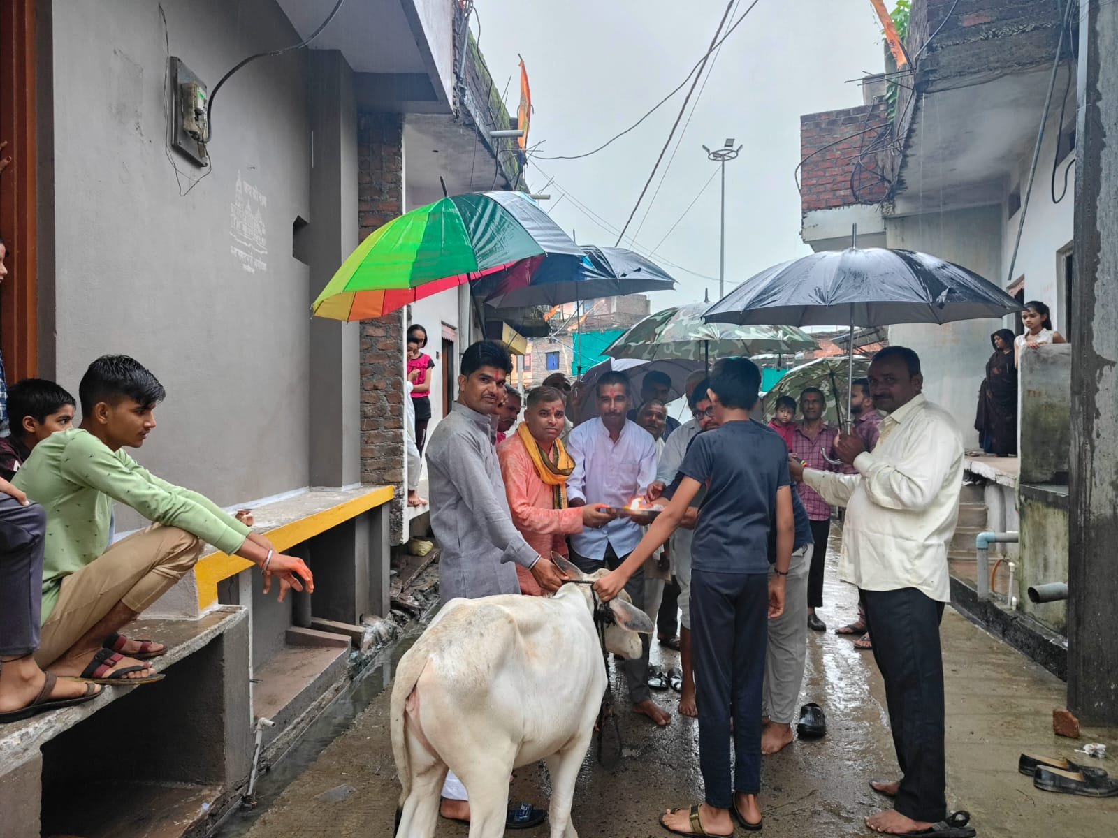 हिंदी समाचार |हरियाली अमावस्या पर पूजन...