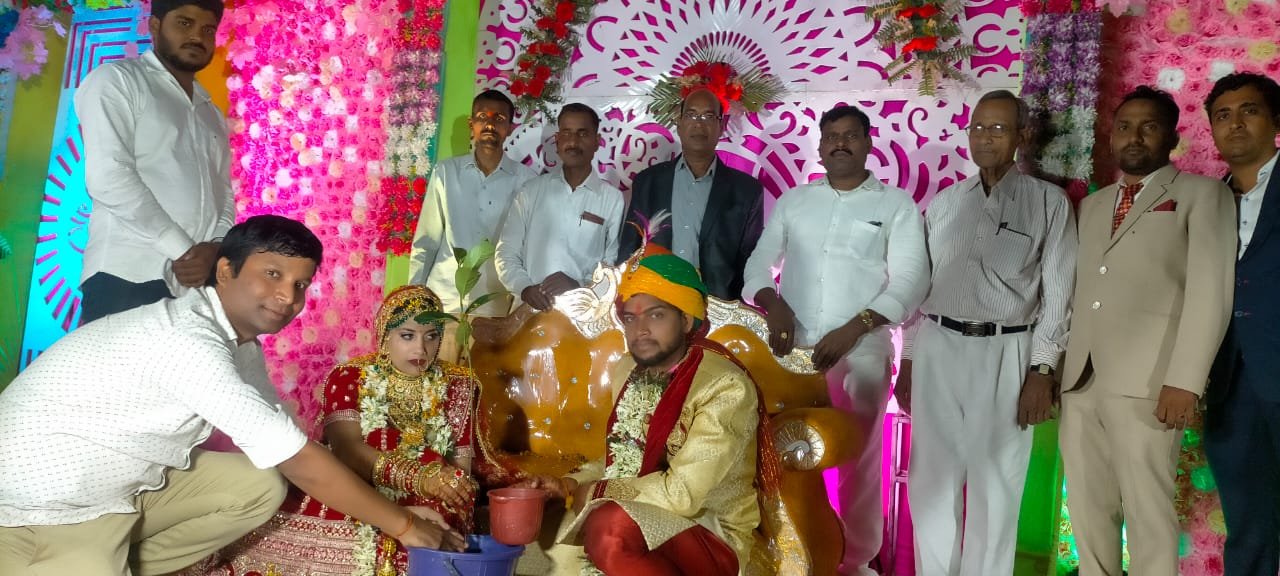 हिंदी समाचार |बारातियों का स्वागत हरियाली...