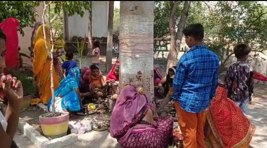 हिंदी समाचार |महिलाओं ने दशा माता की पूजा कर...