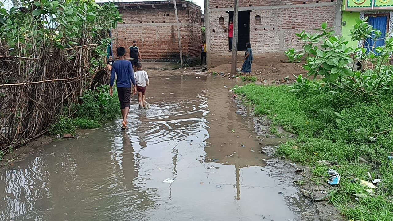 हिंदी समाचार |गांव के मुख्य सड़क हुई तालाब...