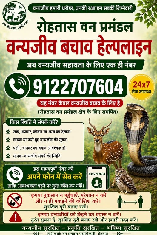 हिंदी समाचार |वन जीव के त्वरित रेस्क्यू के...
