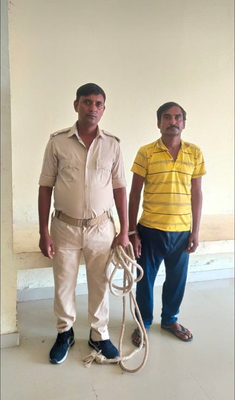 हिंदी समाचार |40 लीटर देसी शराब के साथ तस्कर...