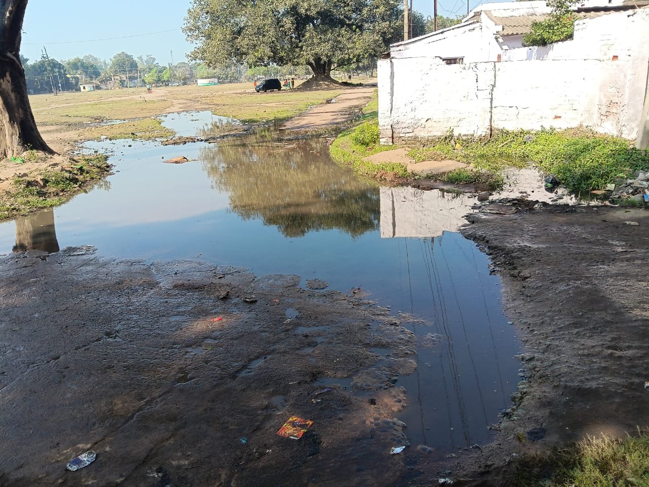 हिंदी समाचार | डालमियानगर में जलजमाव बना...