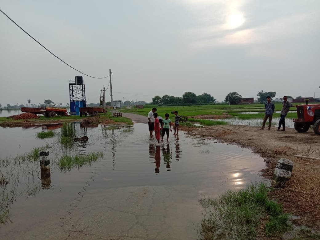हिंदी समाचार |जल जमाव से हालत खराब बिमारी...