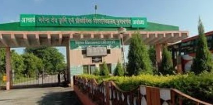 हिंदी समाचार |कृषि विश्वविद्यालय में ५३०...