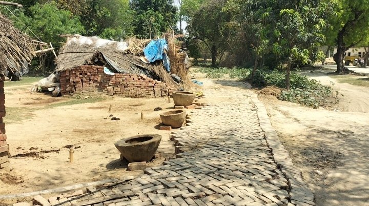हिंदी समाचार |अराजक तत्वों ने उखाड़ा...