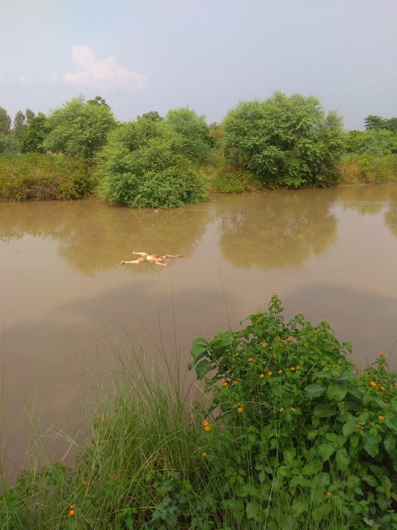 हिंदी समाचार |चौबीस घण्टे में आधा दर्जन...