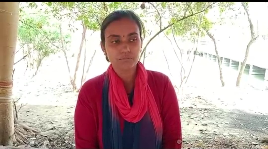 हिंदी समाचार |जीविका दीदियों को घर की...