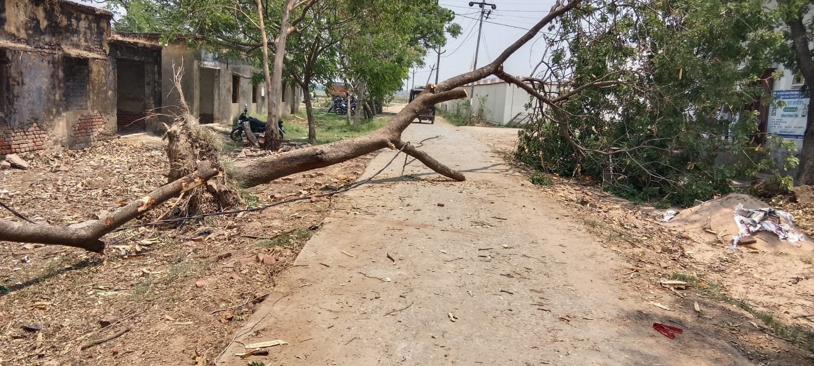 हिंदी समाचार |आंधी-पानी से रामपुर में 48 घंटा...