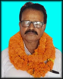 हिंदी समाचार |बिहार राज्य प्राथमिक शिक्षक...