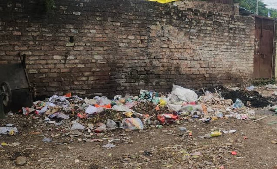 हिंदी समाचार |सफाई कर्मी नहीं कर पा रहे हैं...