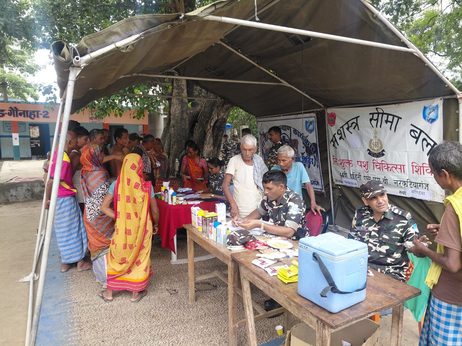 हिंदी समाचार | सीमावर्ती गांवों में SSB का पशु...