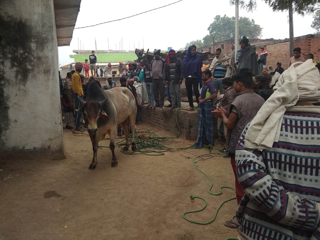 हिंदी समाचार |कुआं में गिरे हुए साड़ को गांव...