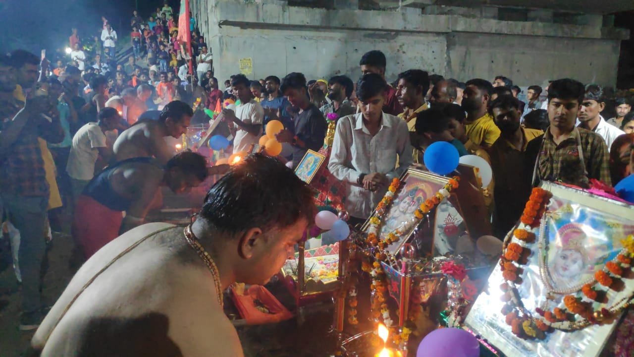 हिंदी समाचार |डोल ग्यारस पर निकले विमान,...