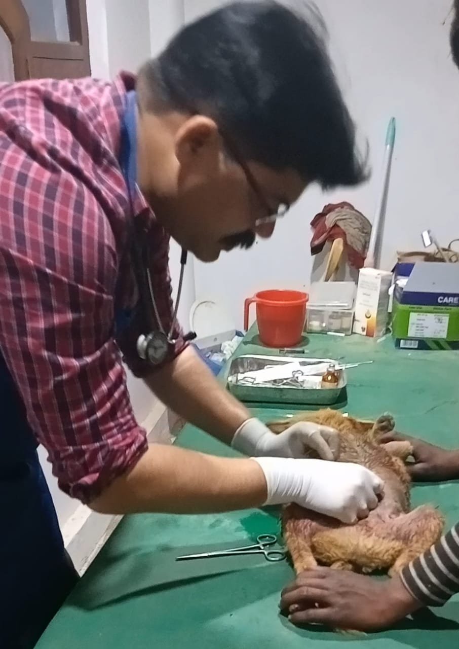 हिंदी समाचार |युवकों ने दिखायी मानवता, तो...