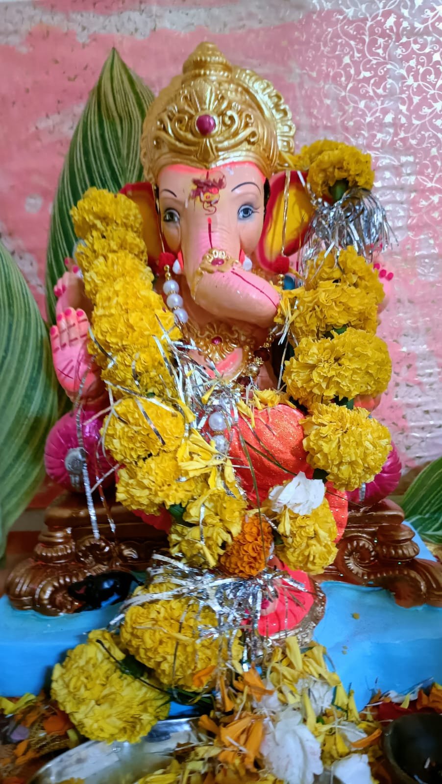 हिंदी समाचार |नगर परिषद में विराजे गजानन...