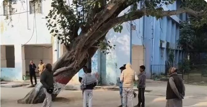 हिंदी समाचार |ट्रैक पार करते समय ट्रेन की...