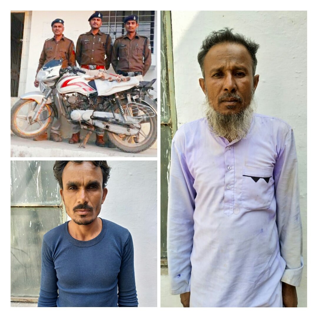 हिंदी समाचार |चंदन तस्करी में लिप्त आरोपी...