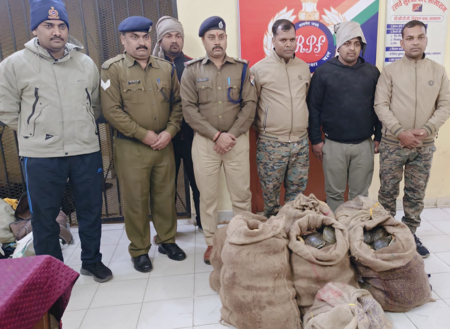 हिंदी समाचार |आरपीएफ ने 311 जीवित कछुआ किया...