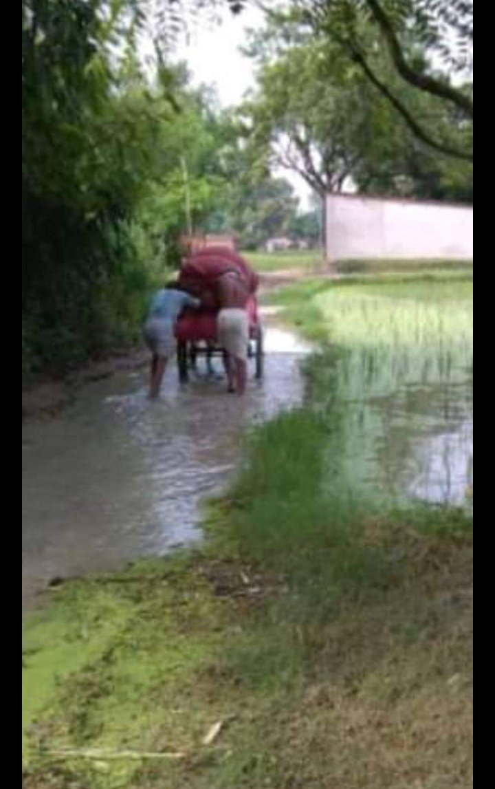 हिंदी समाचार |ग्रामीण विकास की पोल खोलते...