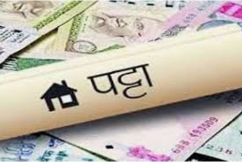 हिंदी समाचार |कानून को ताख पर रख कर प्रधान के...