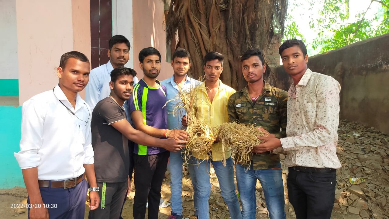 हिंदी समाचार |आइये इस गौरैया दिवस के अवसर पर...