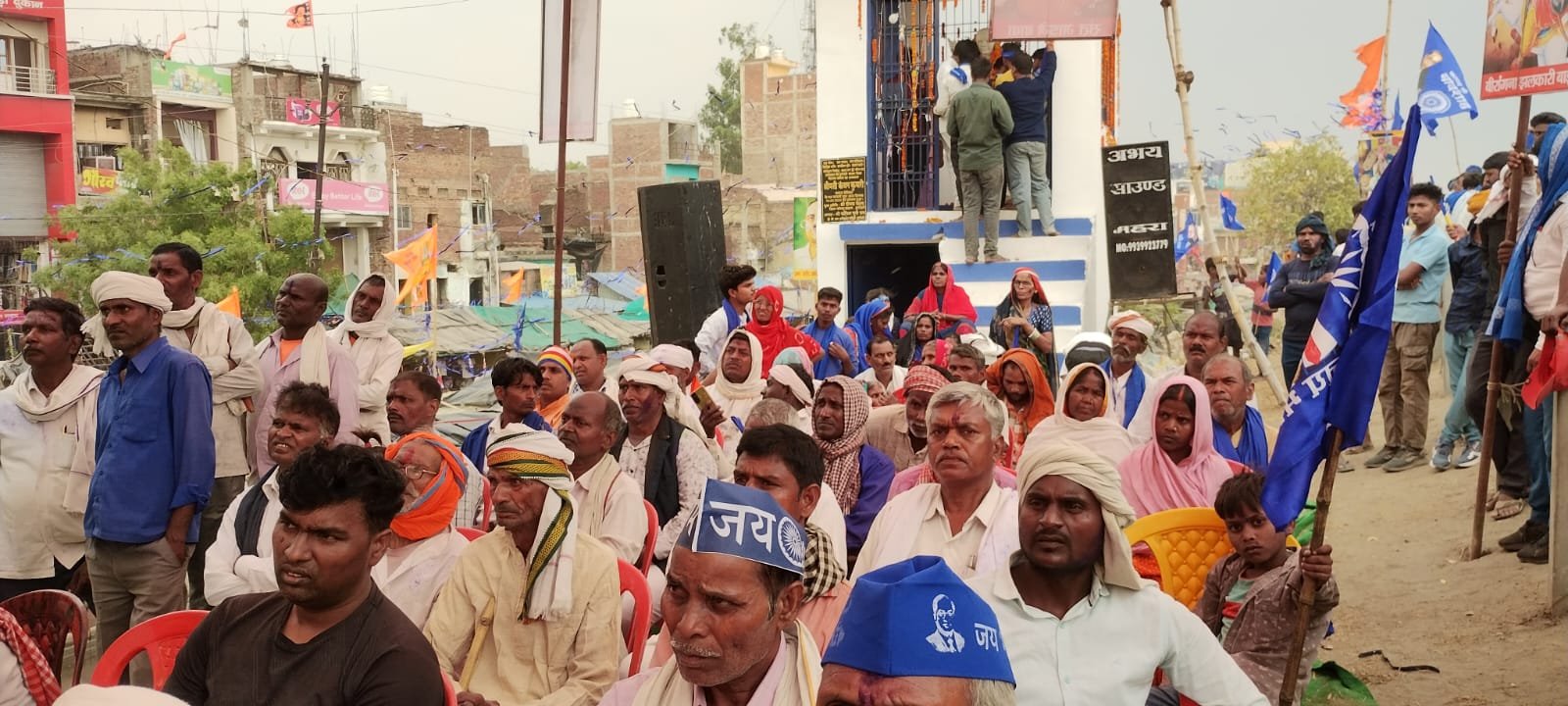 हिंदी समाचार |धूमधाम से मनाई गई डॉक्टर...