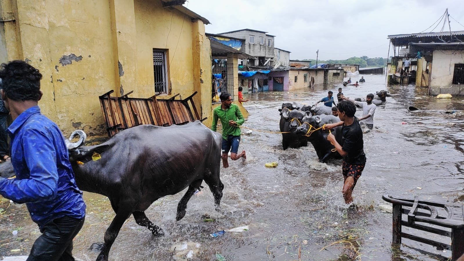 हिंदी समाचार |भारी बरसात से कल्याण के खाड़ी...