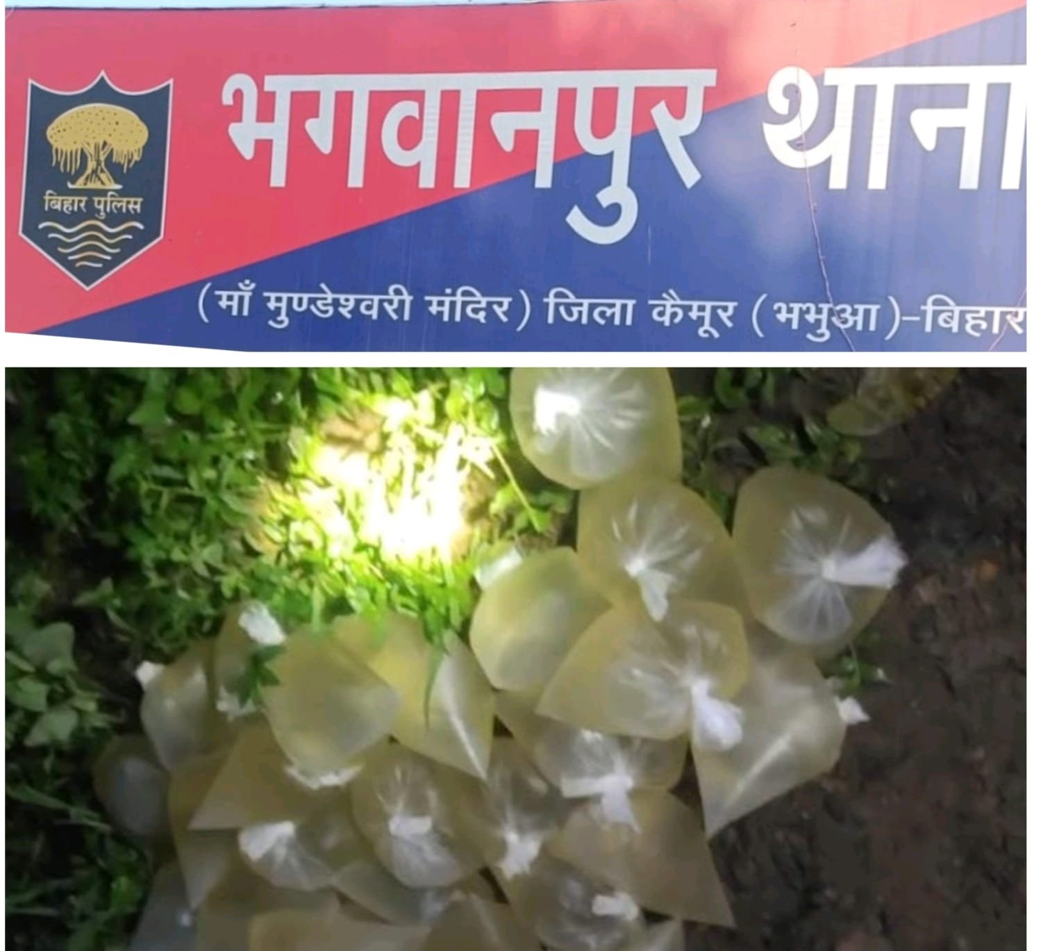 हिंदी समाचार |भगवानपुर थाना के रामगढ़ में...
