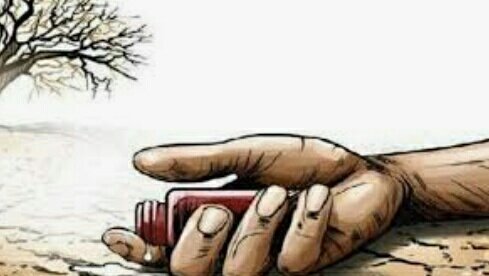 हिंदी समाचार |सल्फास खाकर युवक ने की...