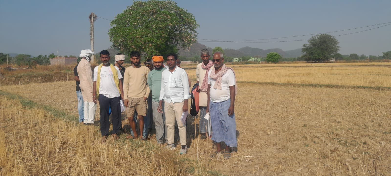 हिंदी समाचार | विशेष सर्वेक्षण के तहत...