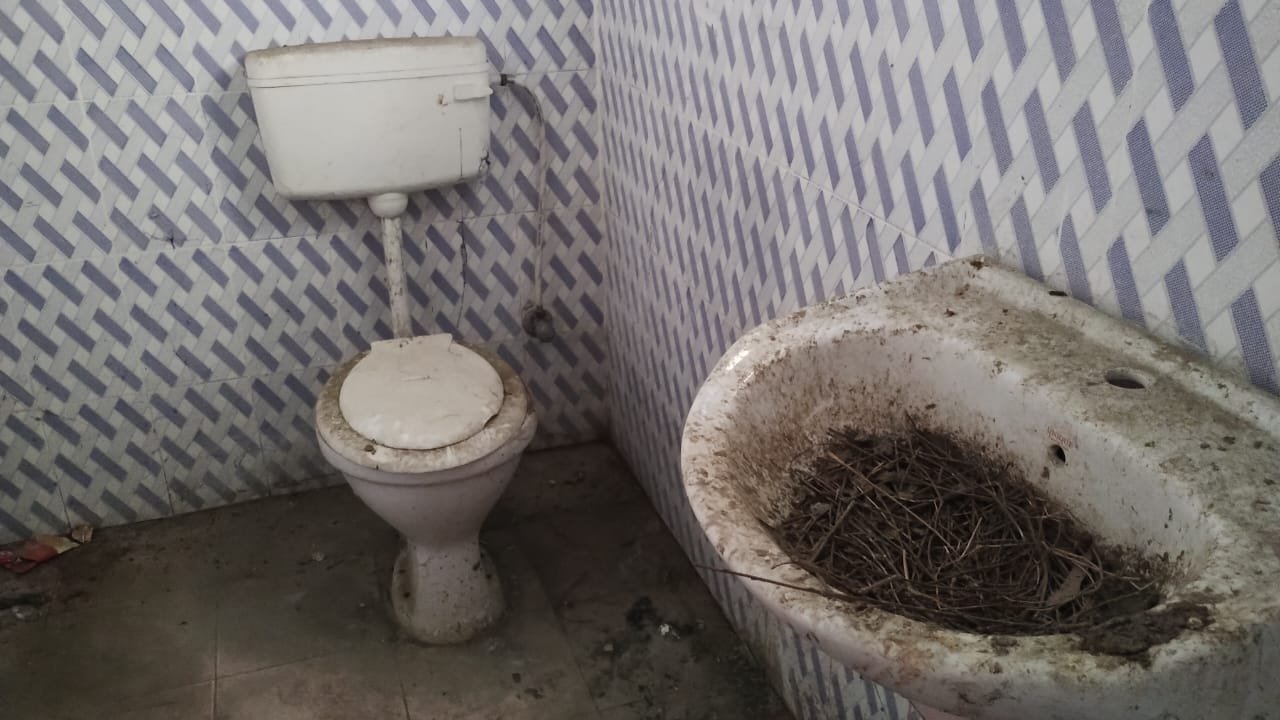 हिंदी समाचार |प्रखंड मुख्यालय में गंदगी का...