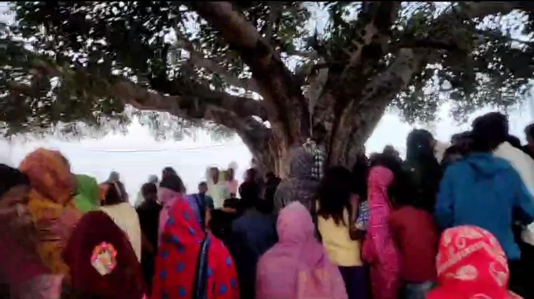 हिंदी समाचार |सादुल्लहपुर गांव में एक...
