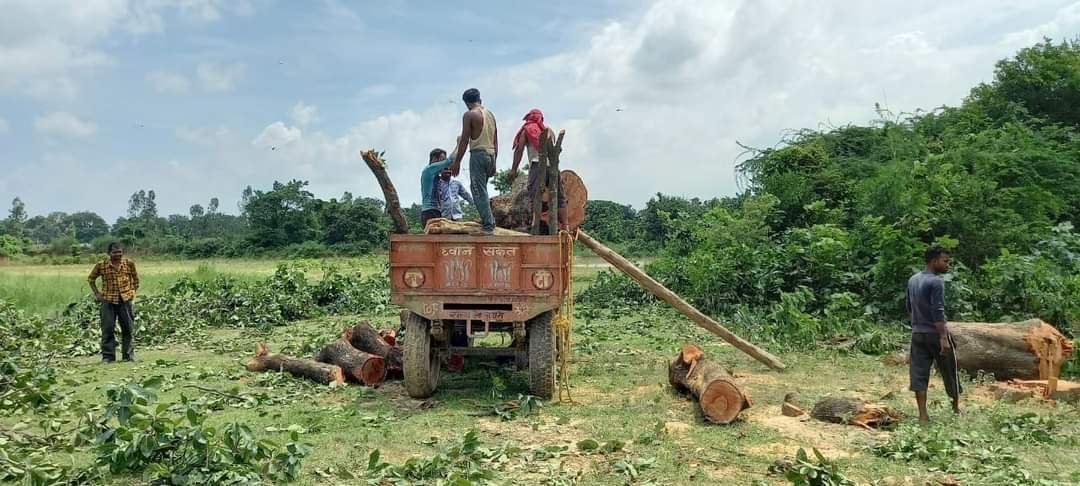 हिंदी समाचार |वन विभाग के बीट प्रभारी की...