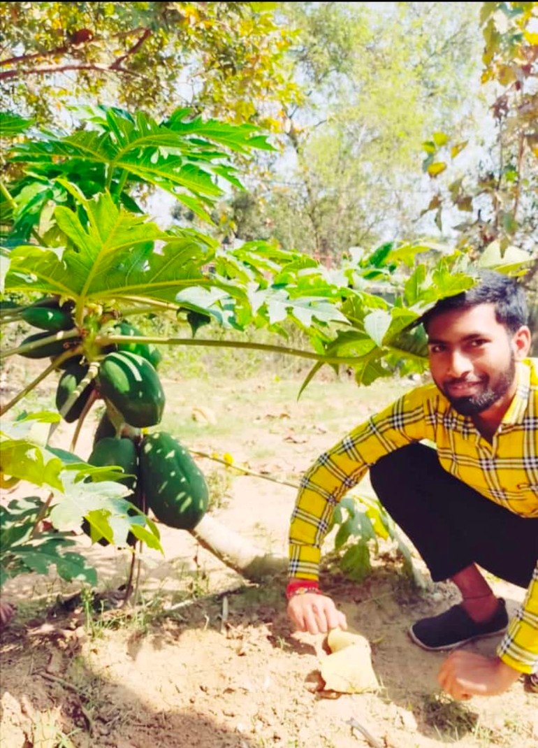 हिंदी समाचार |सांसे हो रहीं कम अब नहीं तो कब...