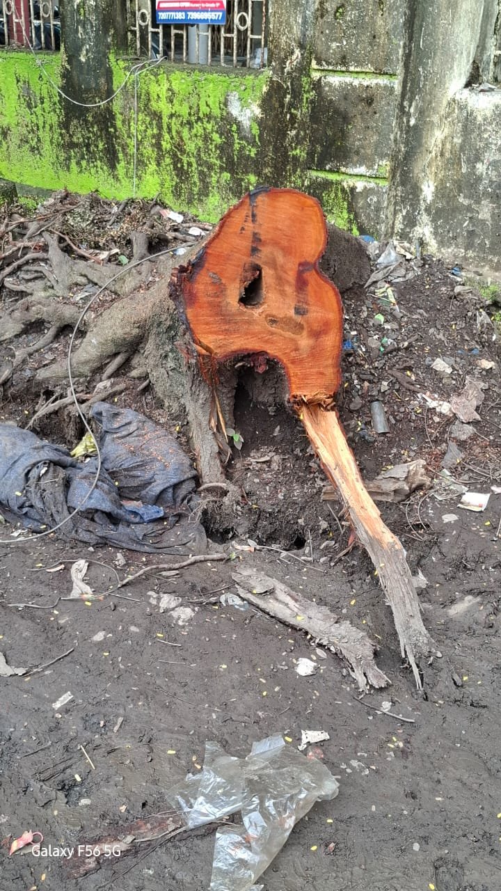 हिंदी समाचार |दस साल से नहीं हुई कोनवाड़ा...