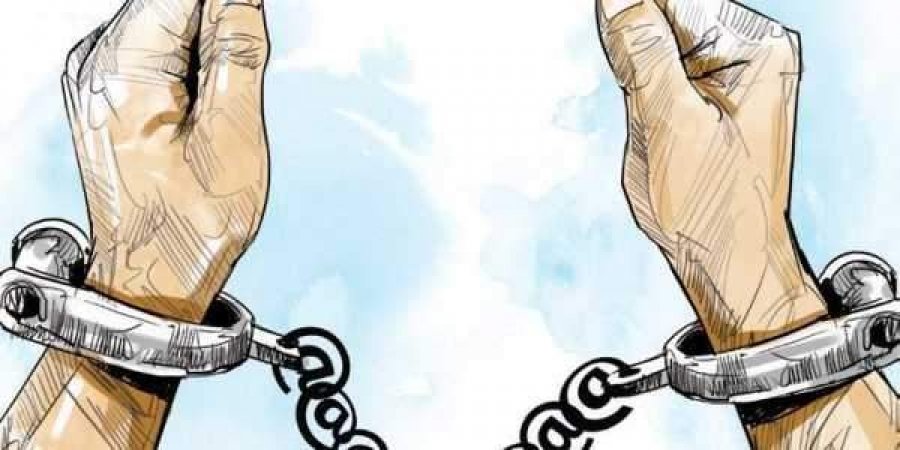 हिंदी समाचार |आर्म्स एक्ट के तहत तीन मामले...