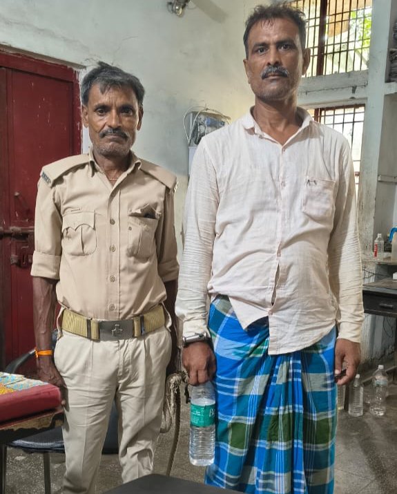 हिंदी समाचार |भगवान के नाम पर छोड़े गए सांड...