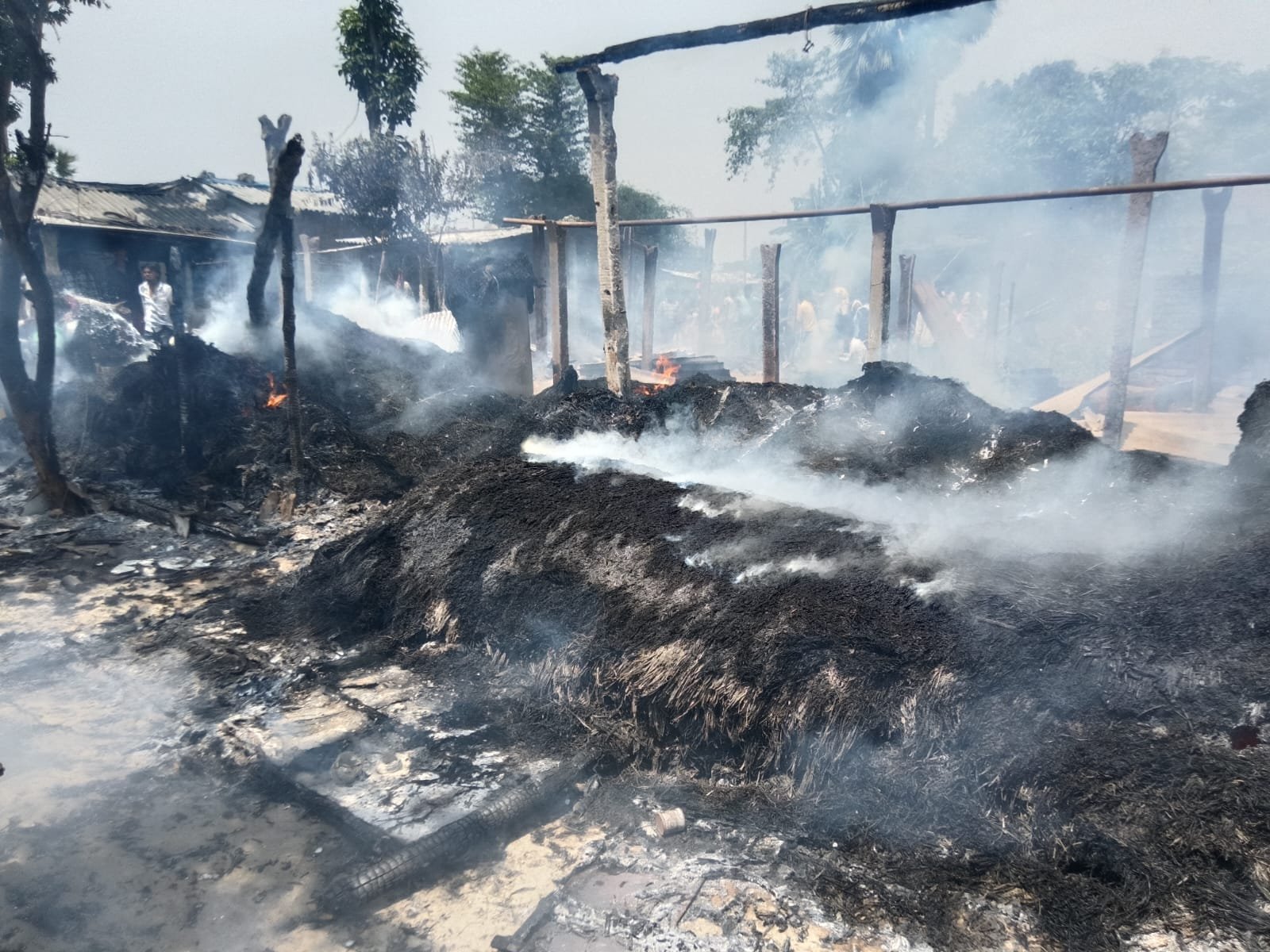 हिंदी समाचार | तरियानी के बेलाही दुल्ला में...