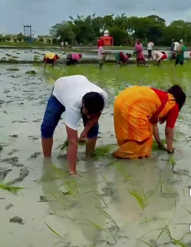 हिंदी समाचार |डेहरी में 2 दिन की झमाझम बारिश...