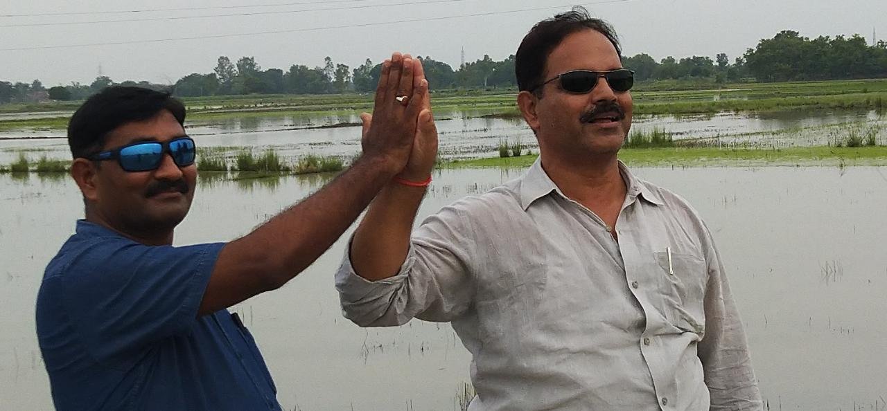हिंदी समाचार |ग्राम पंचायत ग्राम विकास...