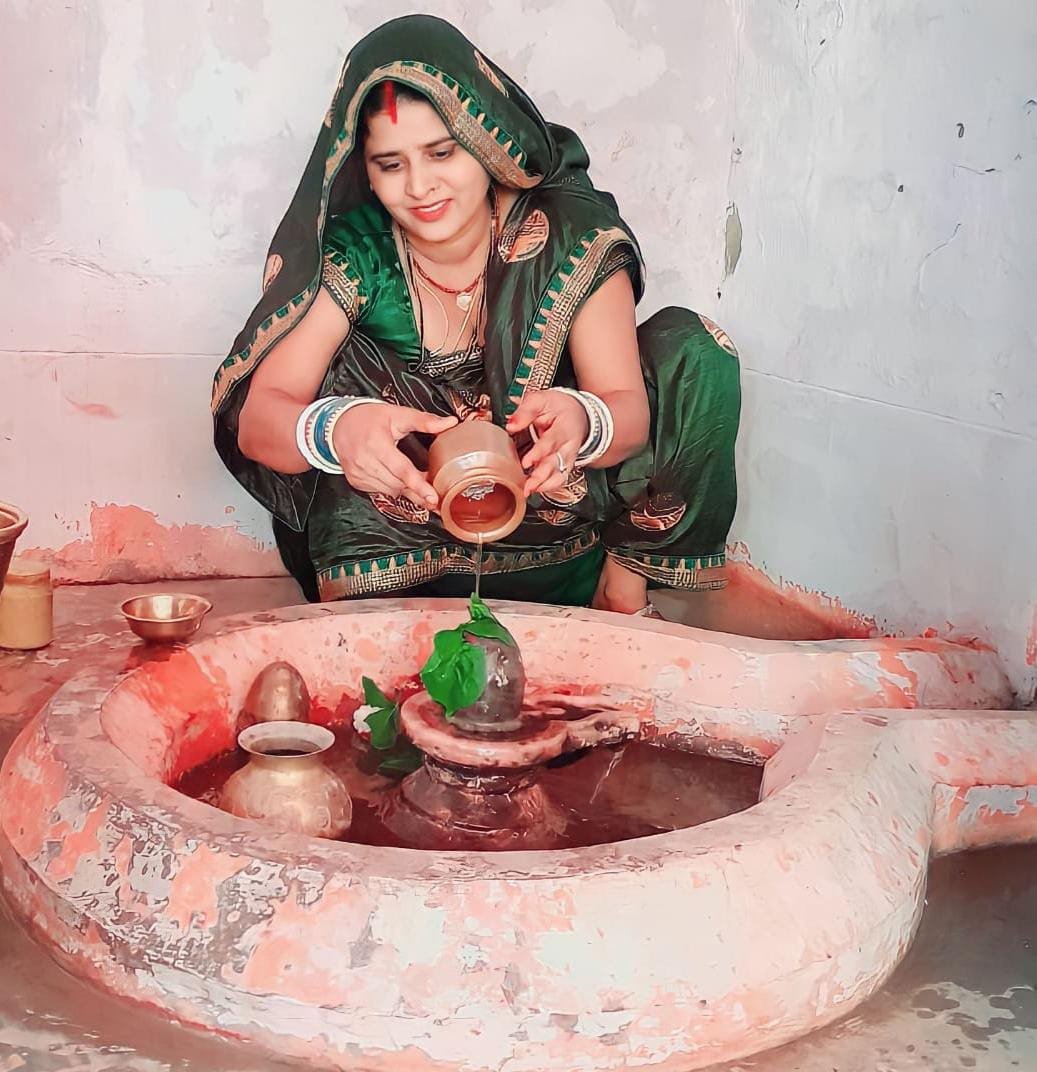 हिंदी समाचार |सावन का महिना हरियाली का है...