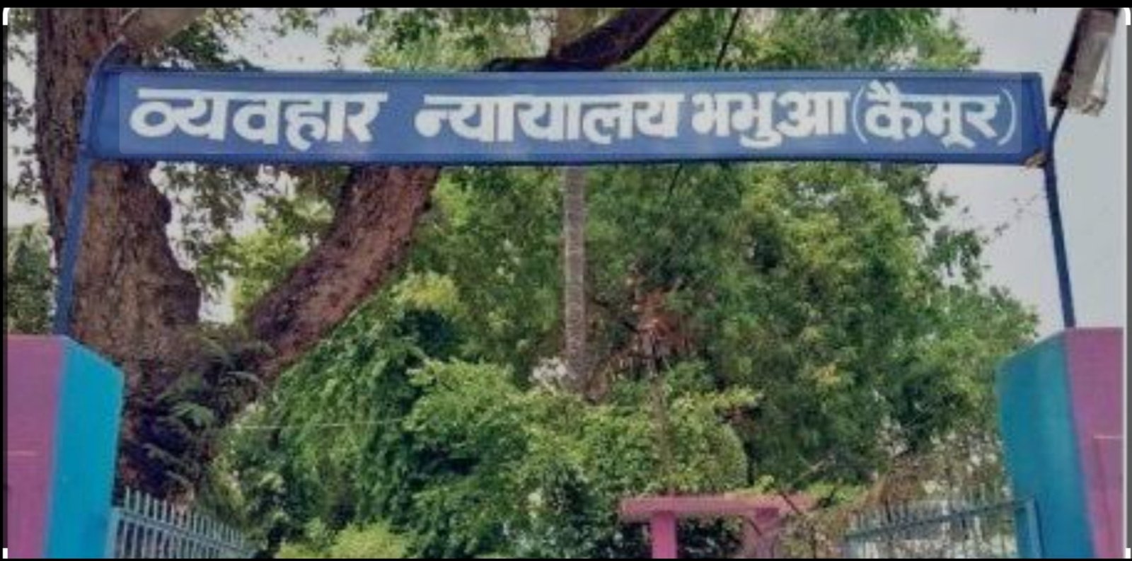 हिंदी समाचार |सिविल कोर्ट भभुआं में तीन ए...