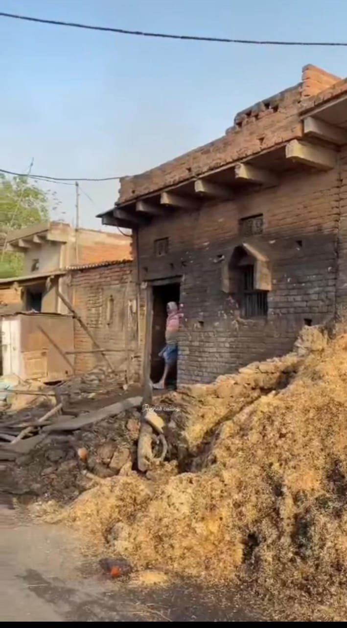 हिंदी समाचार | महादलित बस्ती में भीषण...