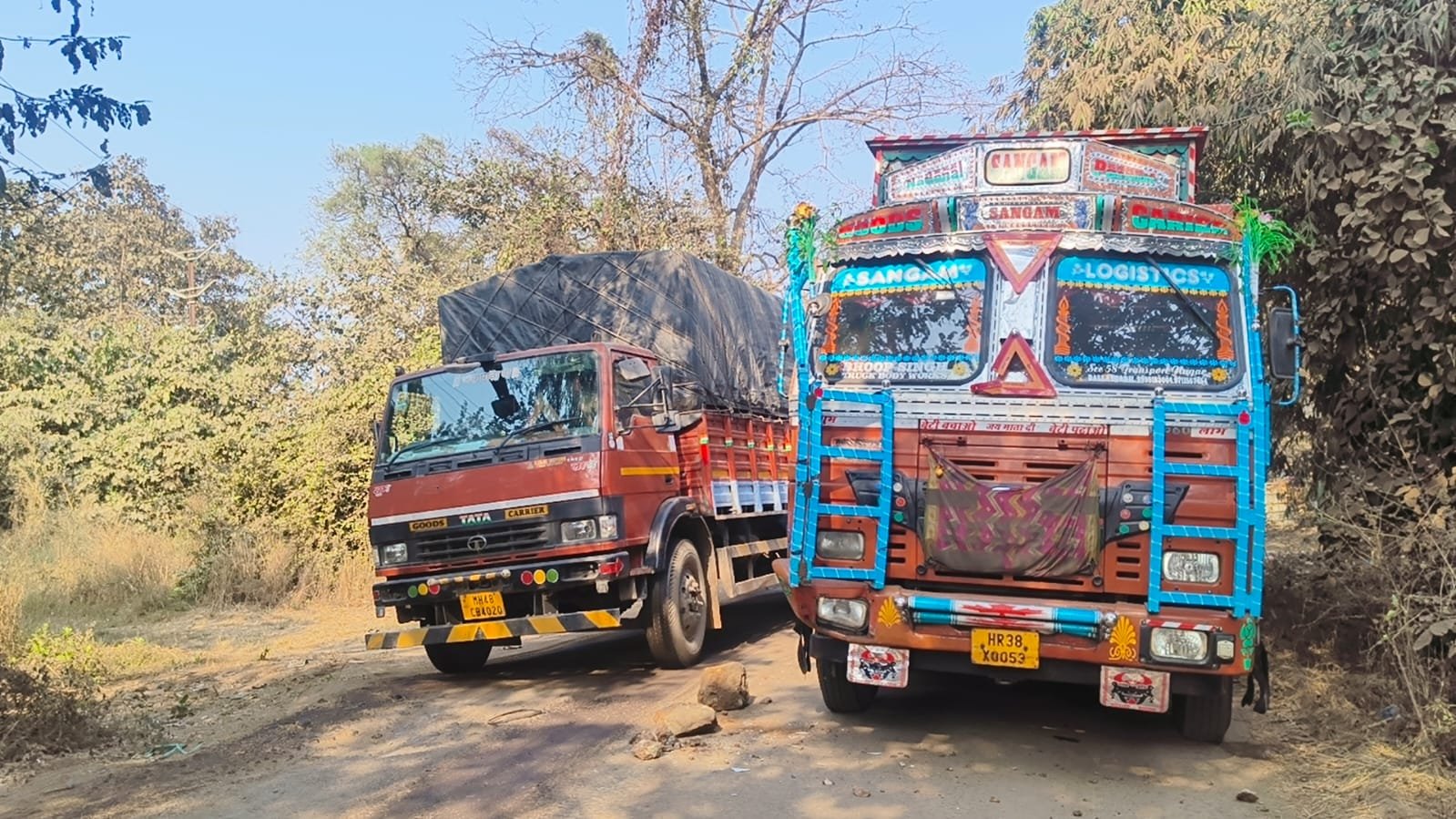 हिंदी समाचार |पारोल रोड पर कही फंसी तो कही...