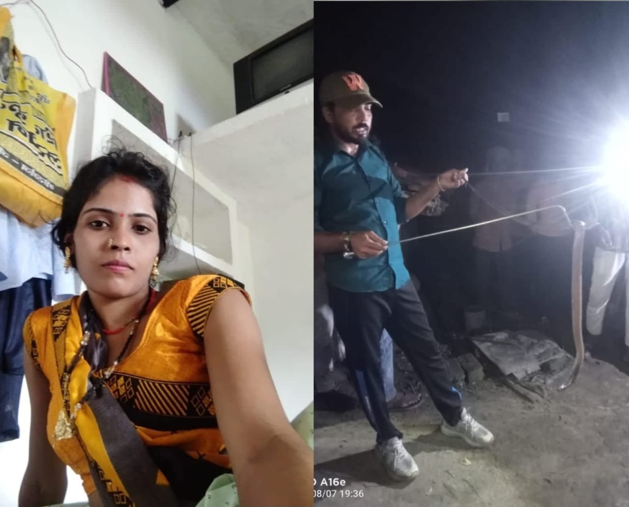 हिंदी समाचार |कोबरा के डंसने से 26 वर्षीय...